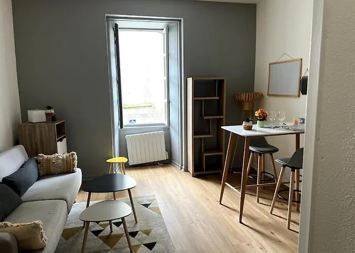 Appartement Centre Historique Monsegur